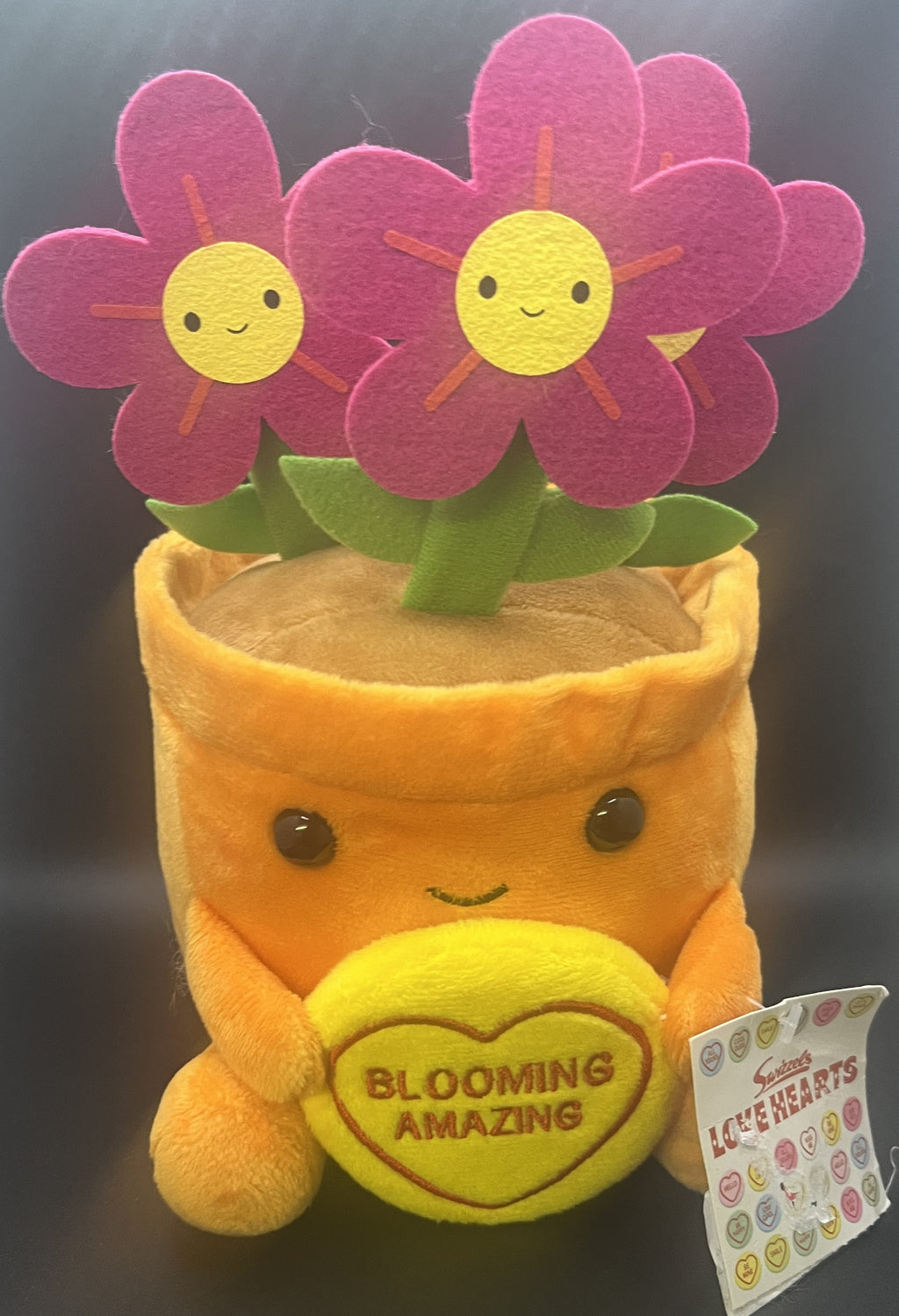 Blooming Amazing Teddy