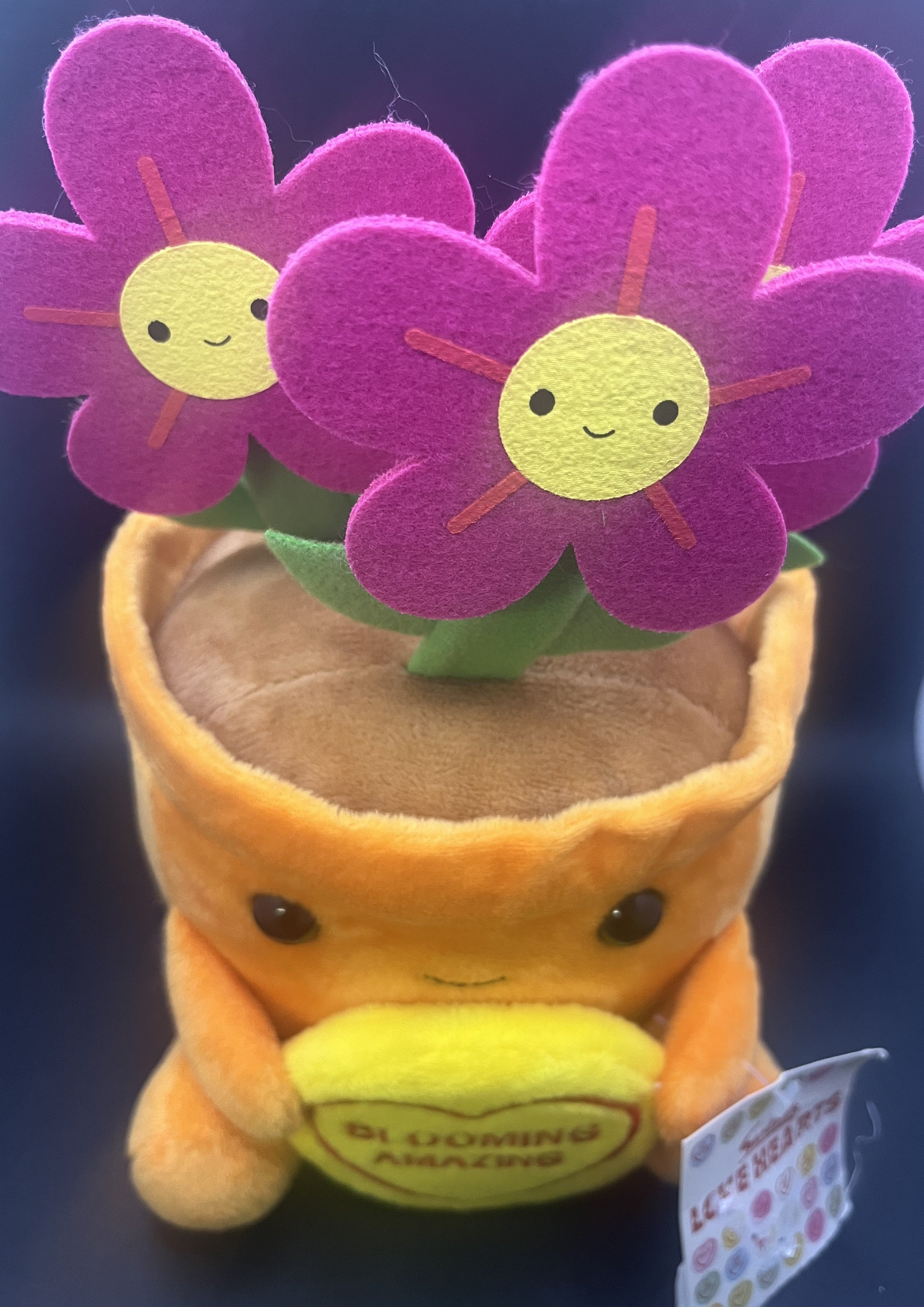Blooming Amazing Teddy