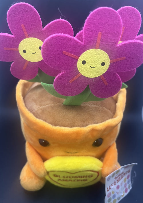 Blooming Amazing Teddy