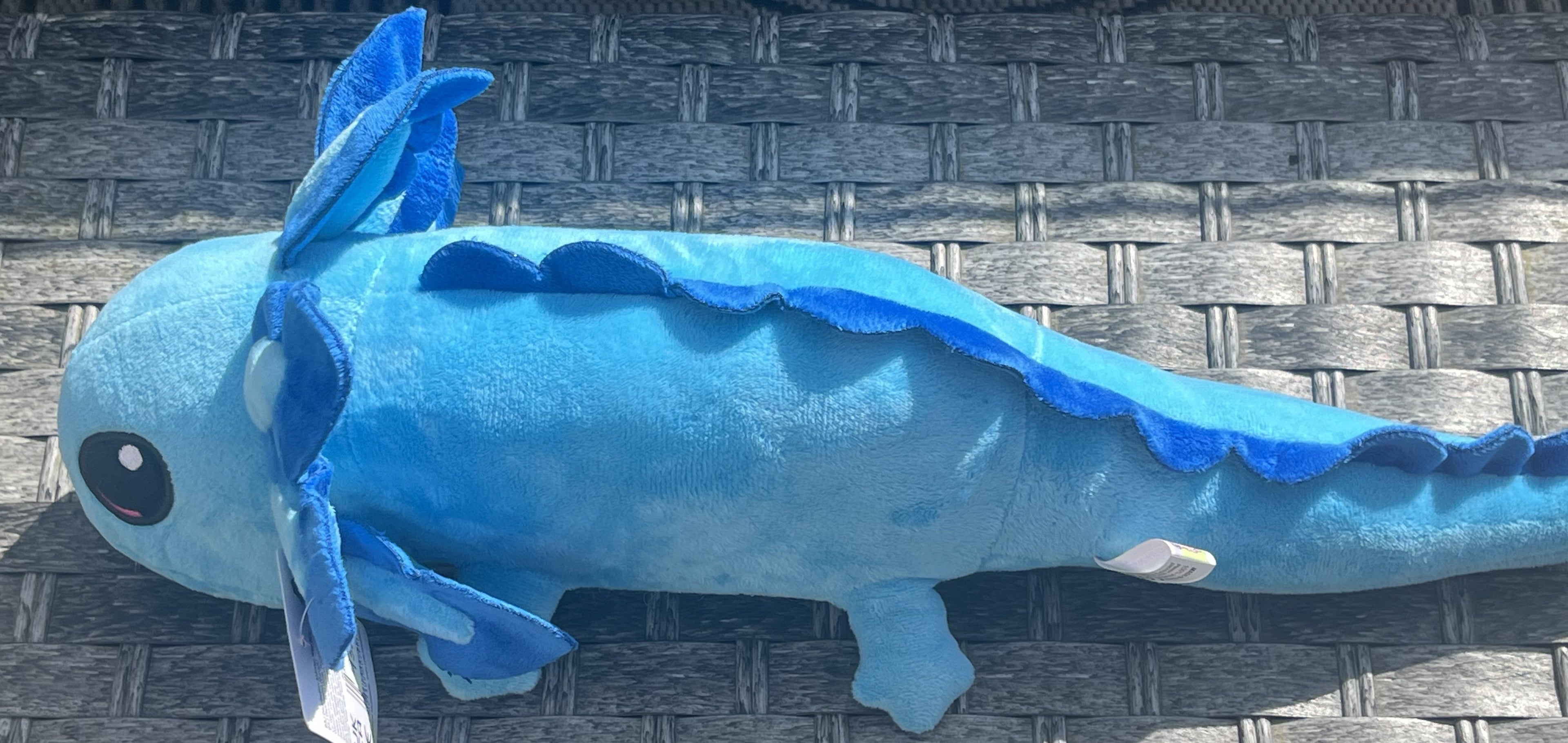 Axodragons Plush Teddy