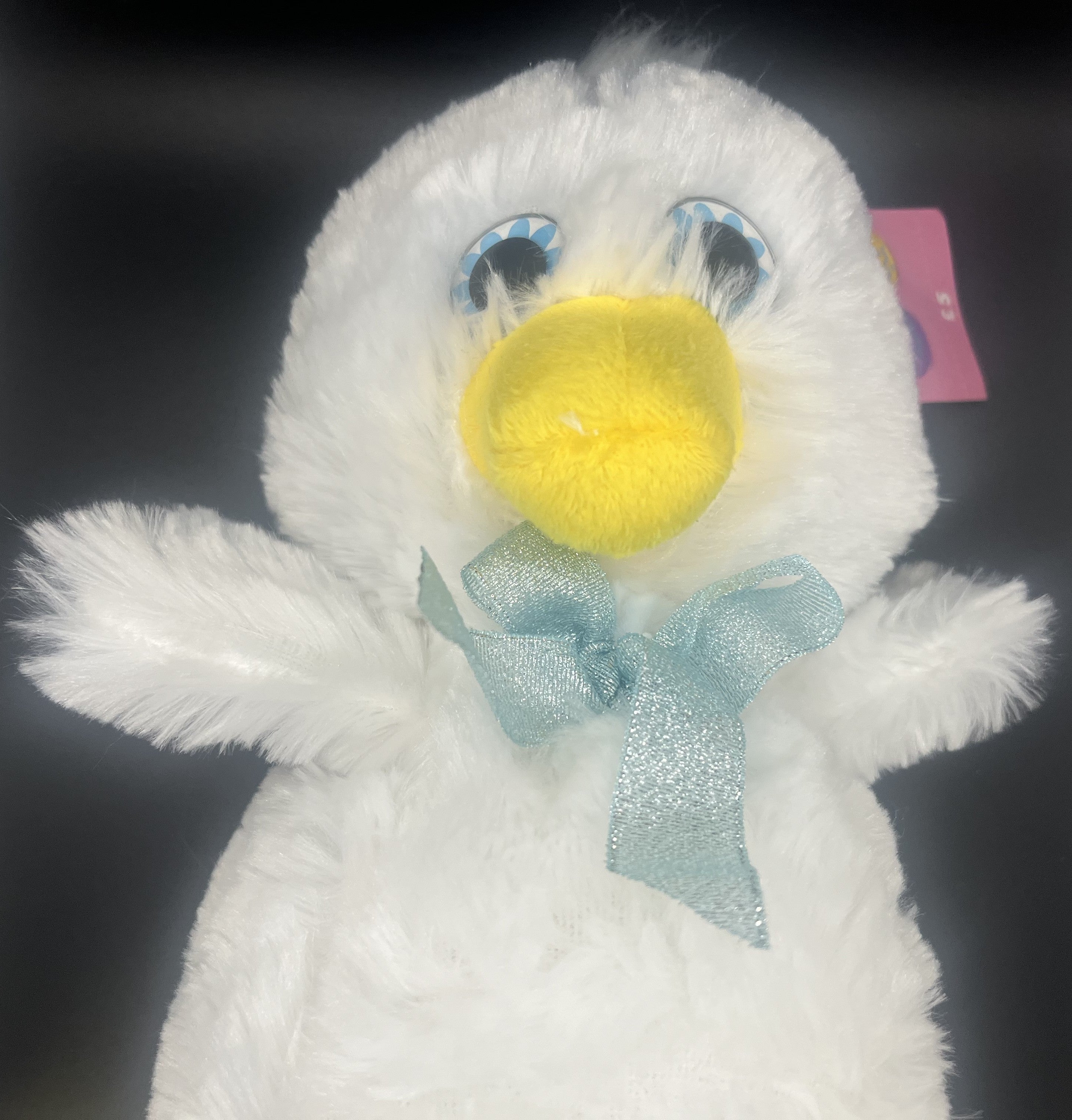 Duck Teddy