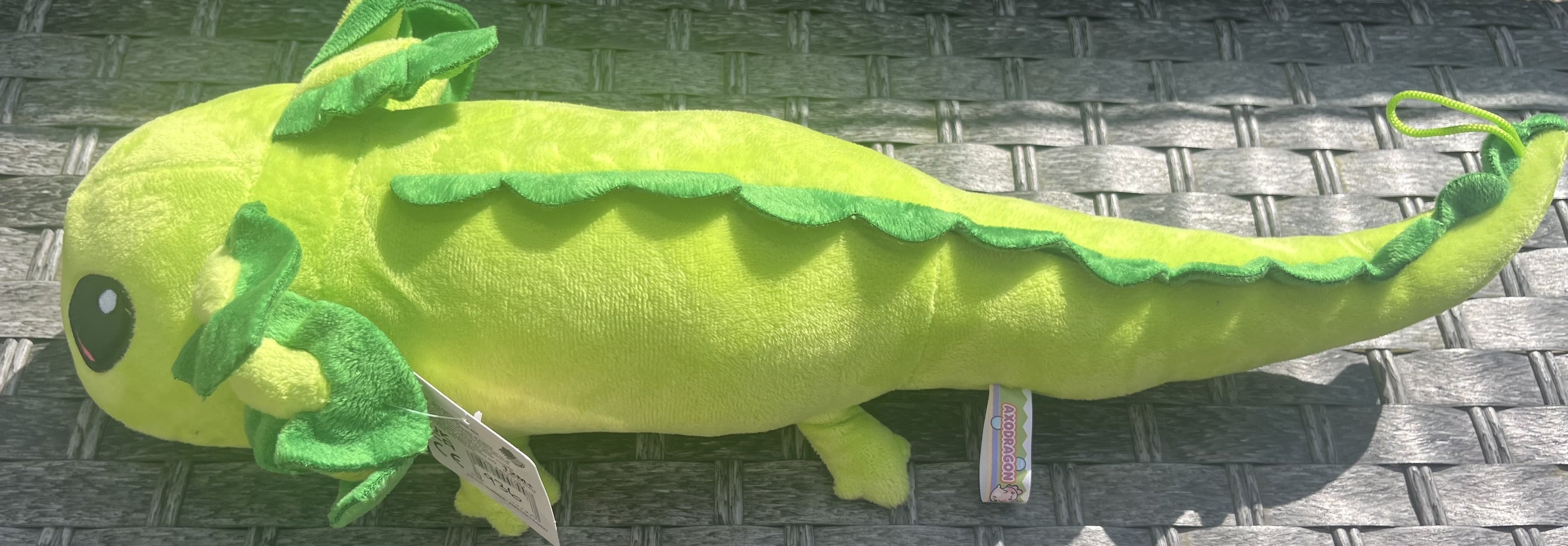 Axodragons Plush Teddy
