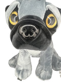 Pug Dog Teddy
