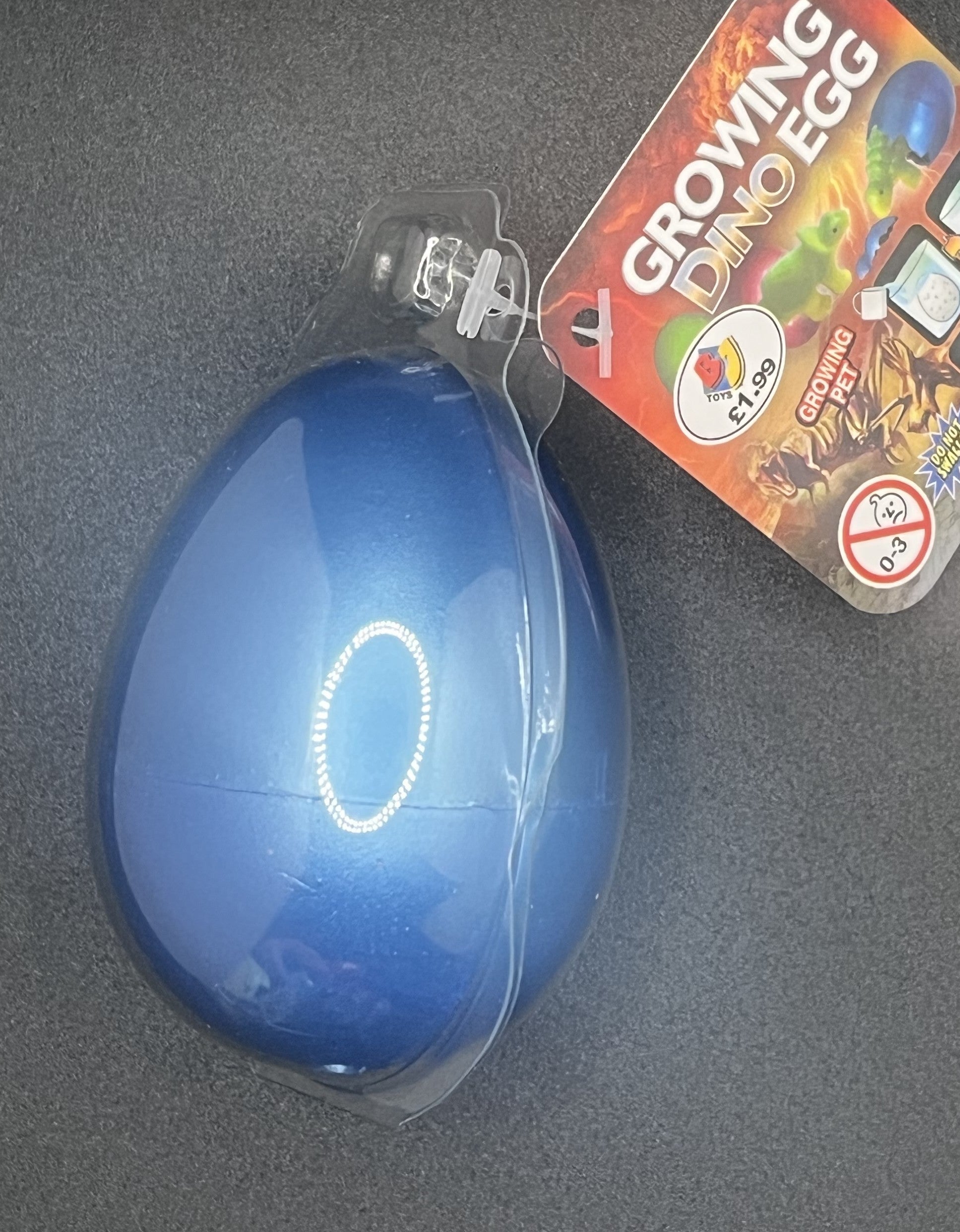 Growing Dino Egg