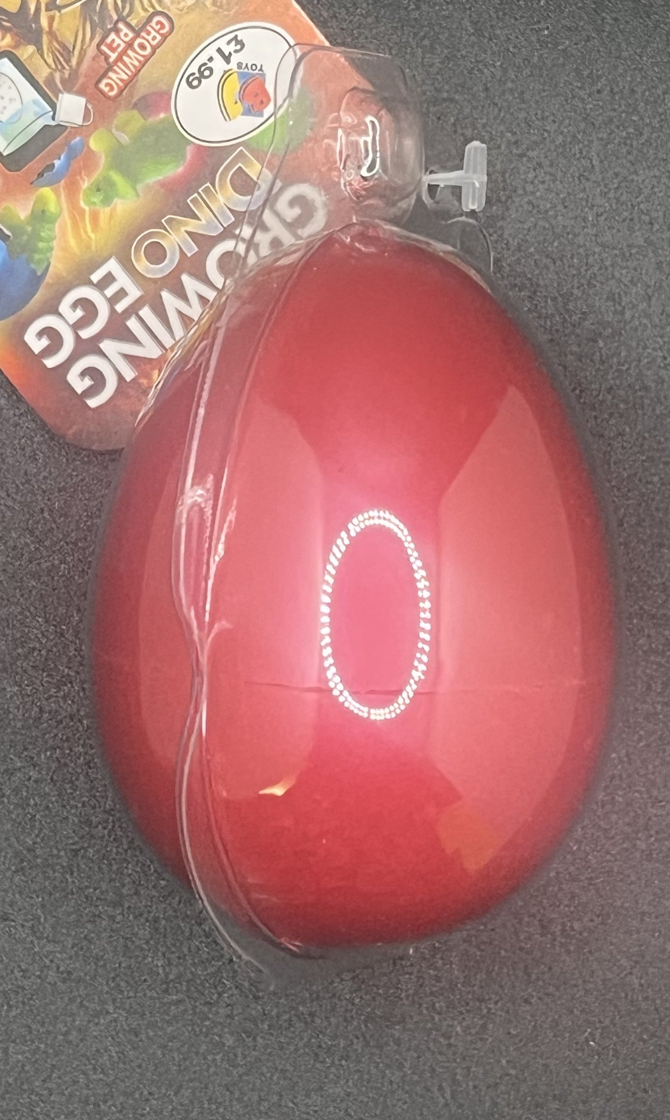 Growing Dino Egg
