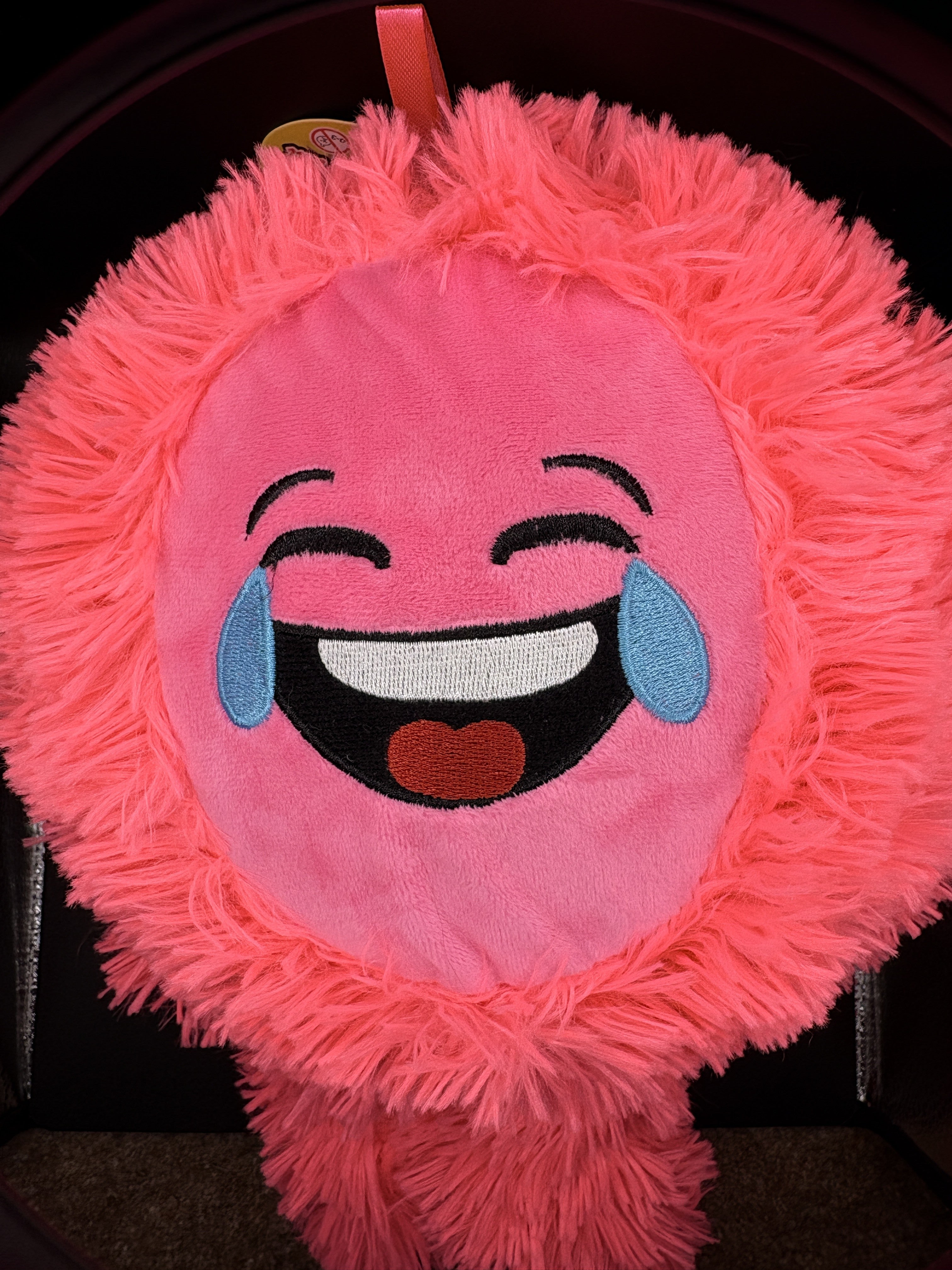 Neon Pink Teddy Ball