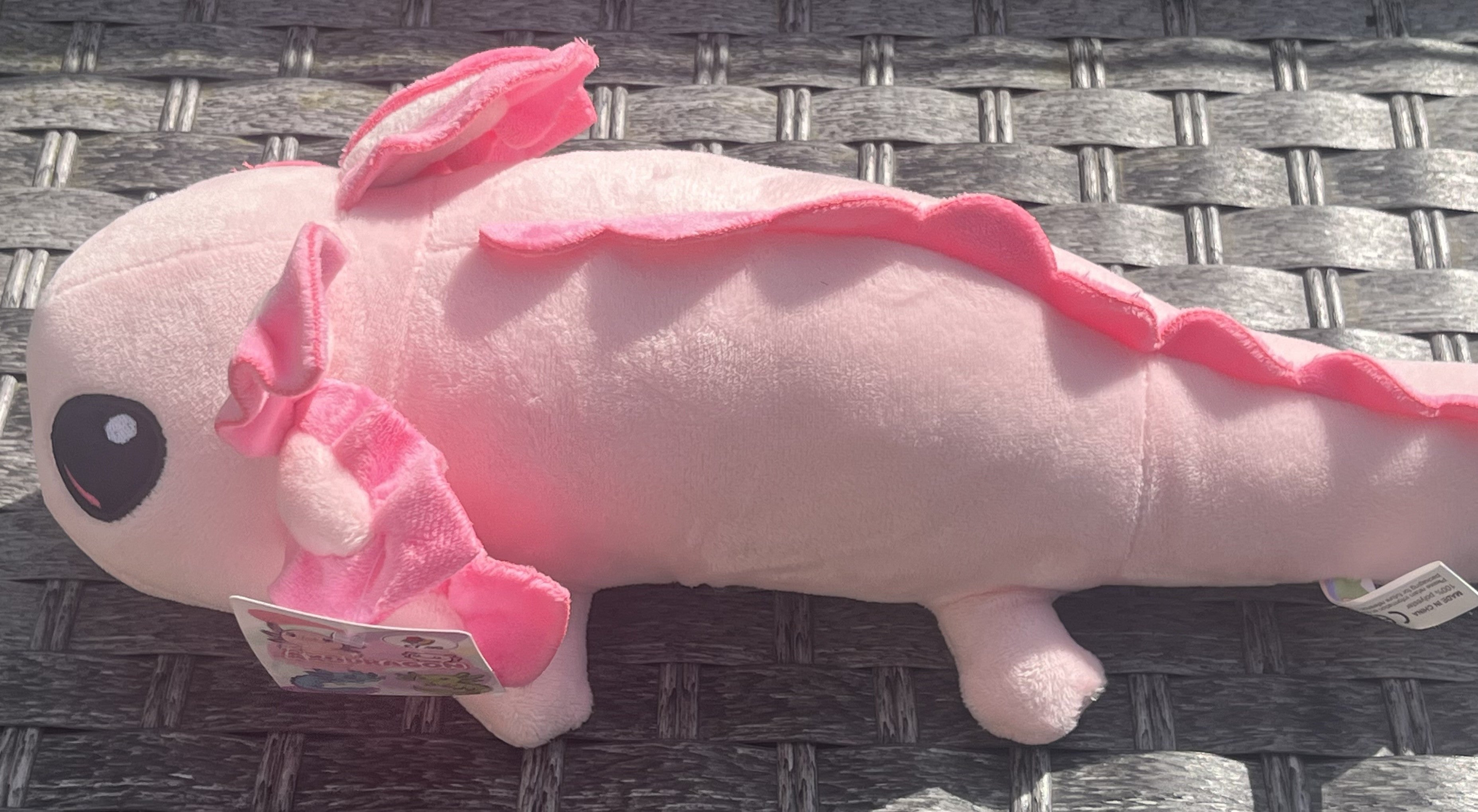 Axodragons Plush Teddy