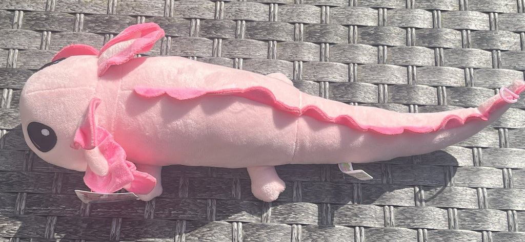 Axodragons Plush Teddy