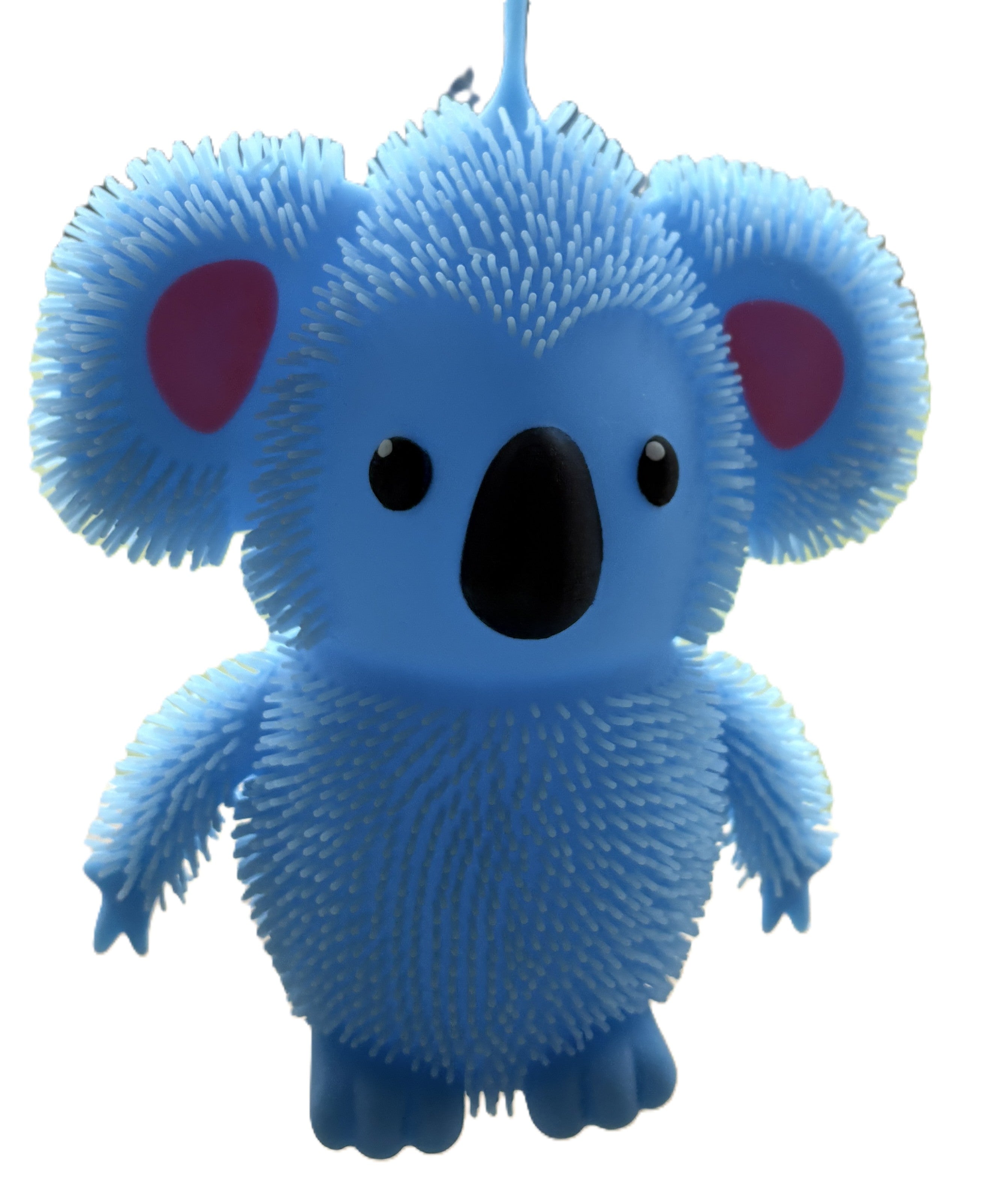 Large Flashing Koala