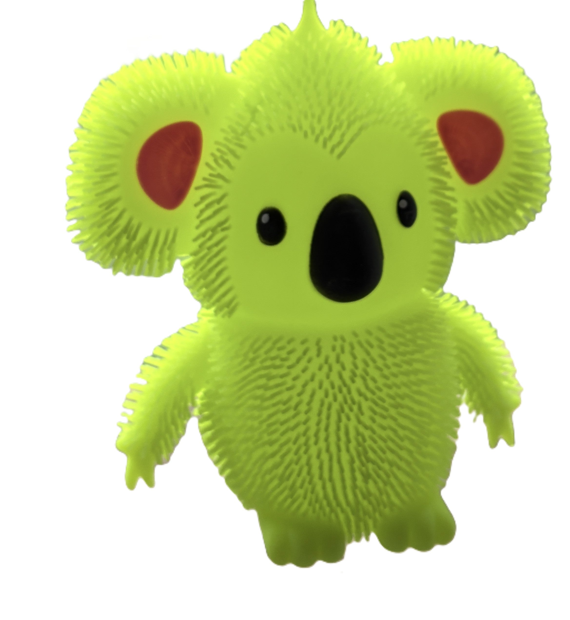 Large Flashing Koala