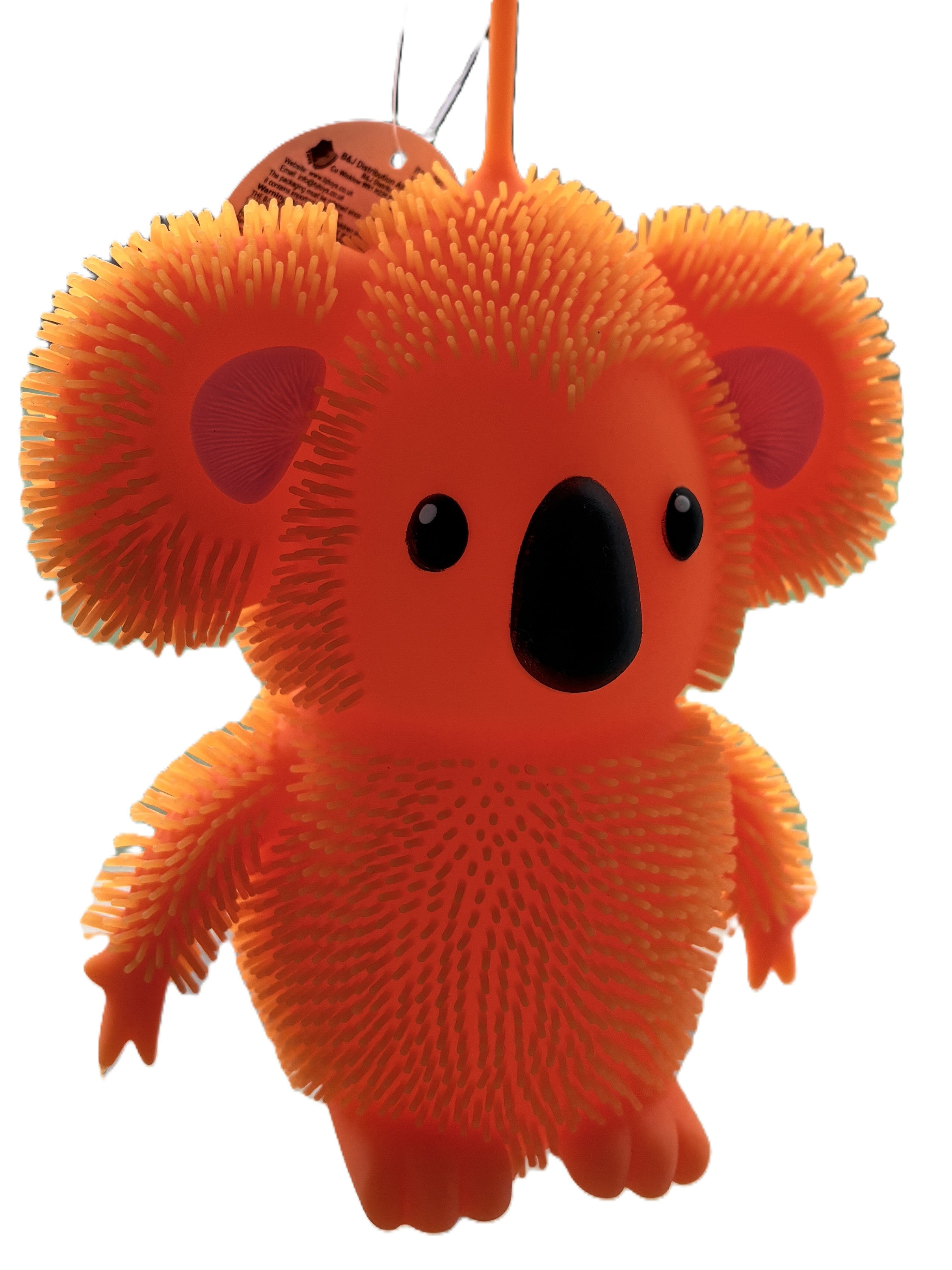 Large Flashing Koala