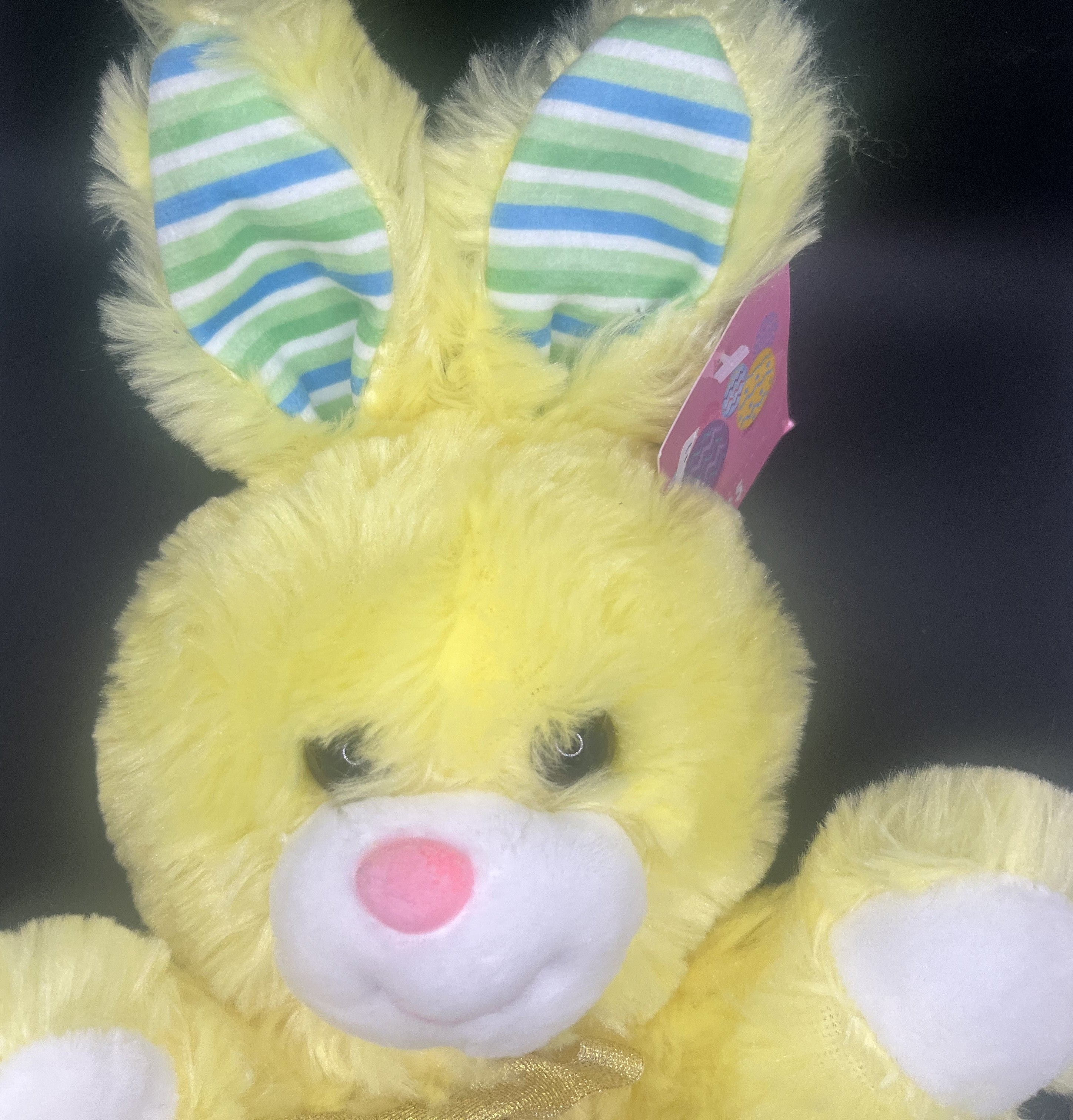 Yellow Bunny Teddy