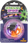 Crawling Spider - Pack of 12