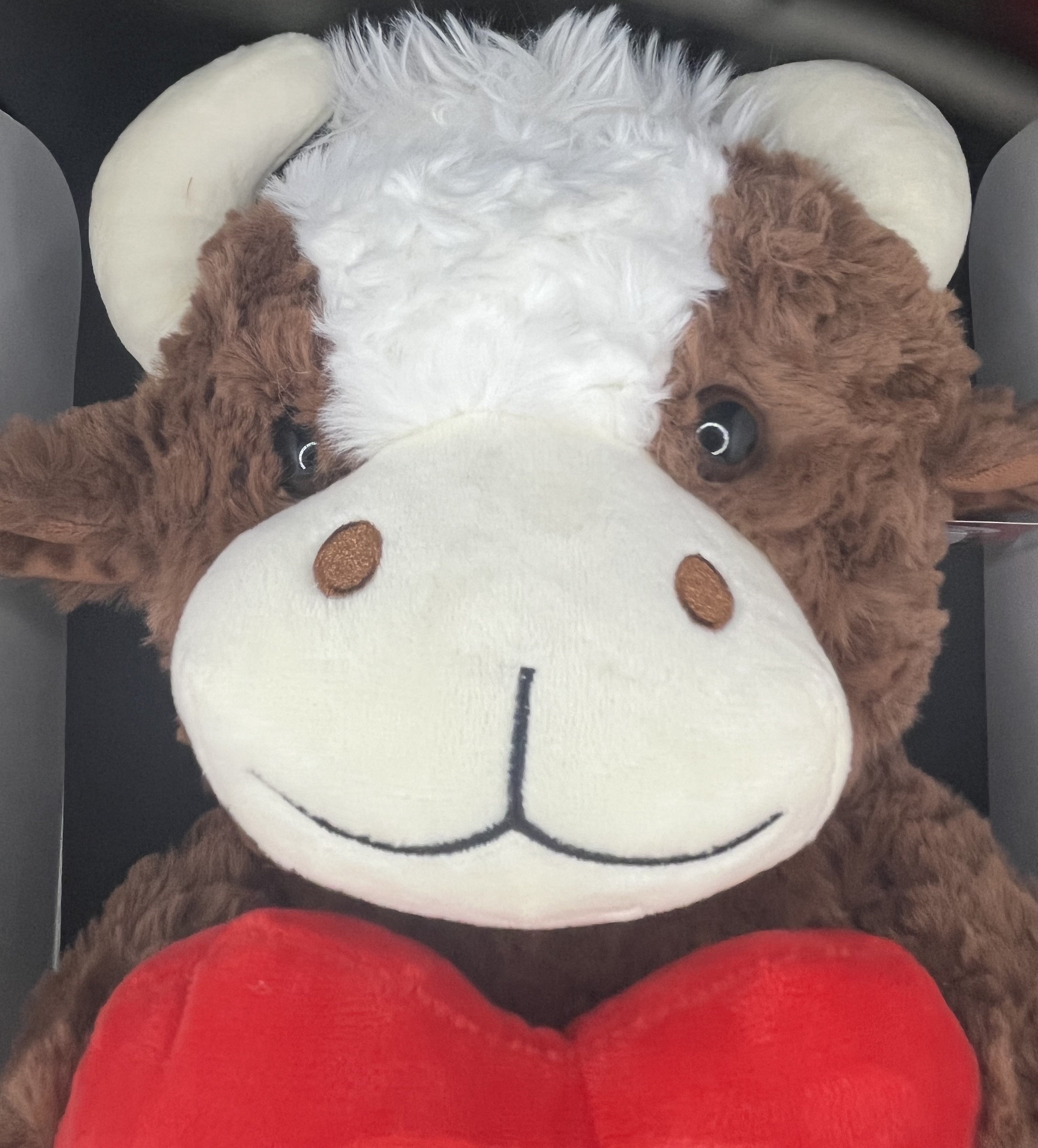 Highland Teddy- Mum