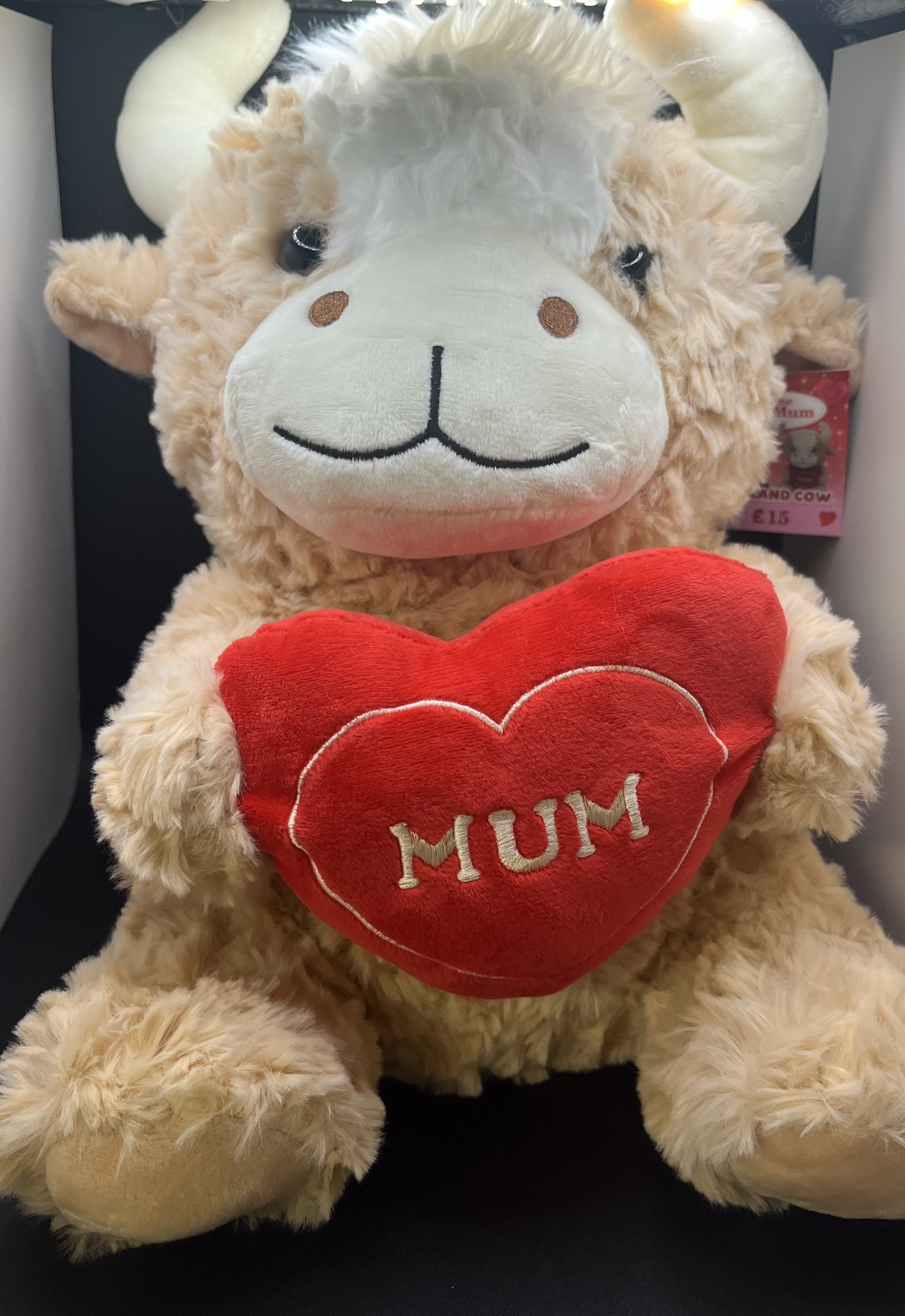 Highland Teddy- Mum