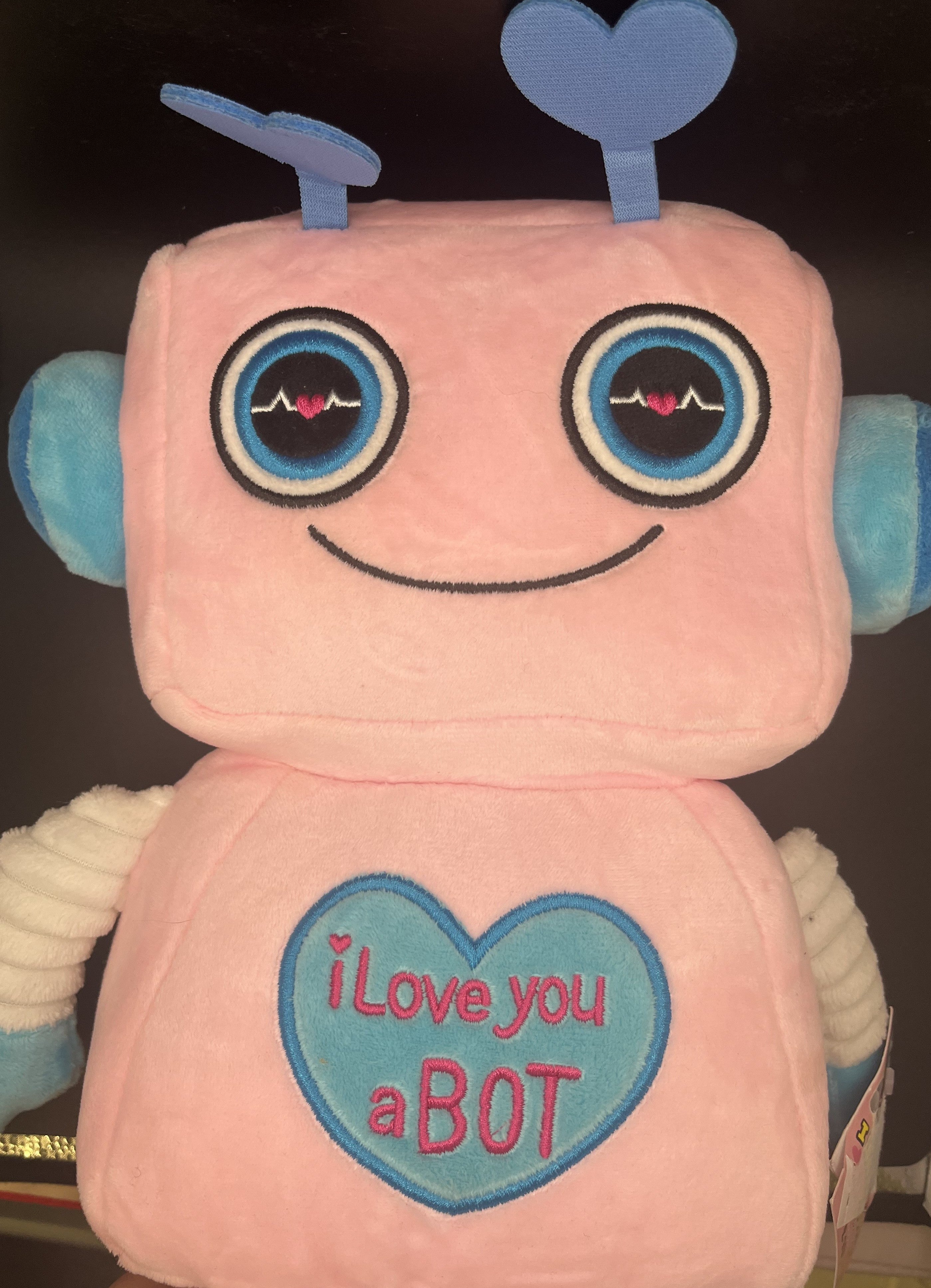 'Love you a BOT' Teddy