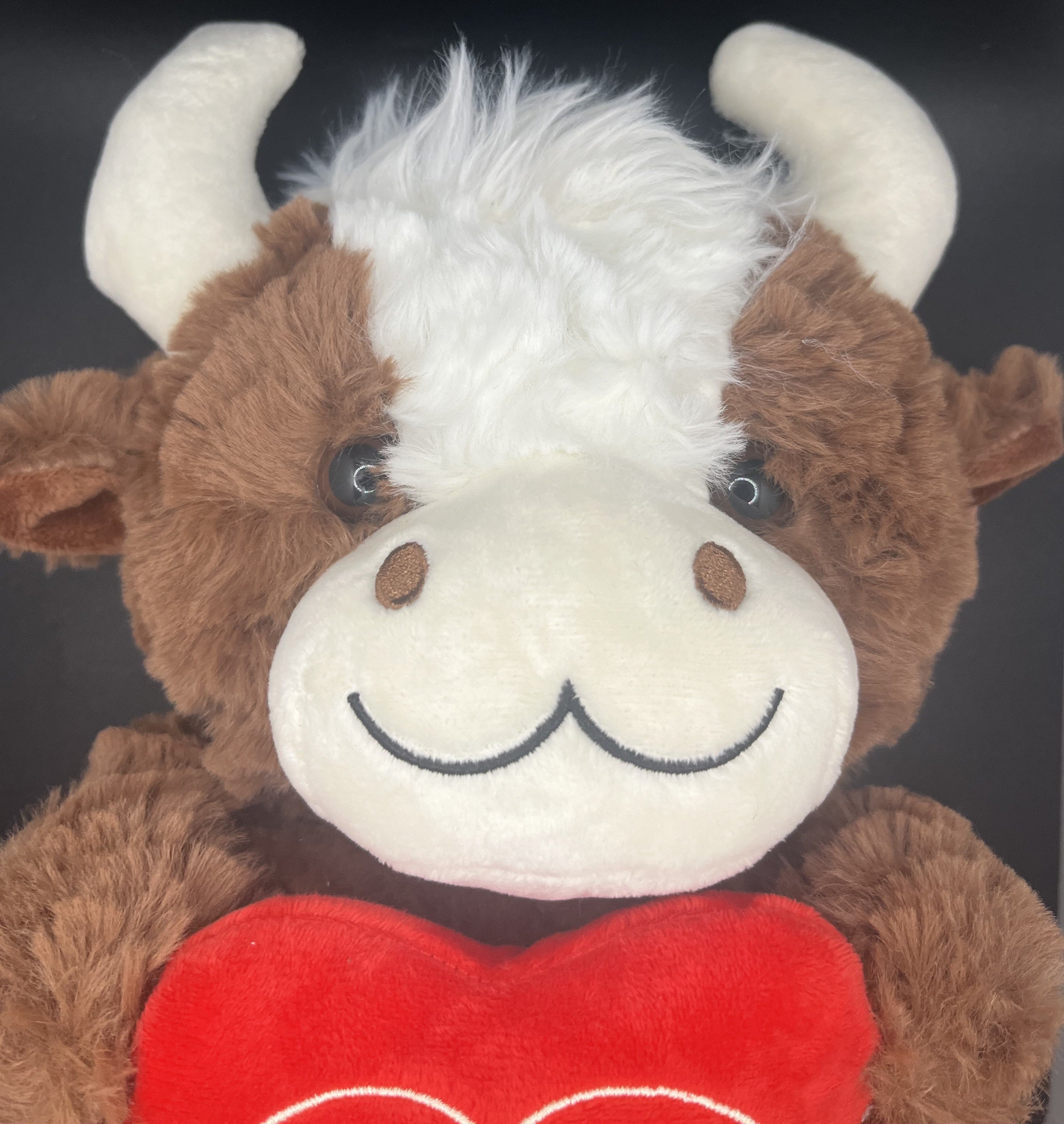 Small Highland Cow- Love