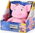 Stretch N Smash Pig