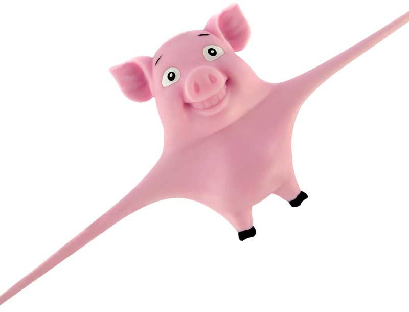 Stretch N Smash Pig